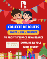 Coloré Enfantin Association Collecte de jouets enfants Affiche - 1 © Domaine La Yole